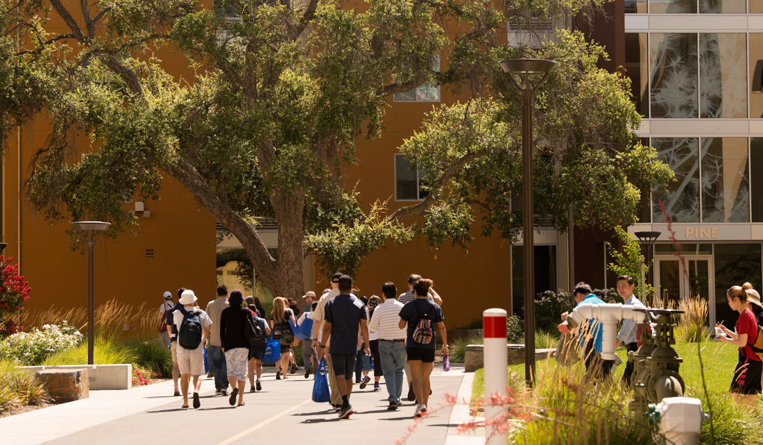 A group of students on a walkway in the residential area of campus
