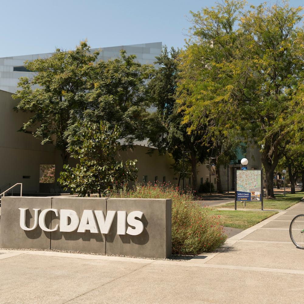 UC Davis entrance sign with cyclist riding nearby