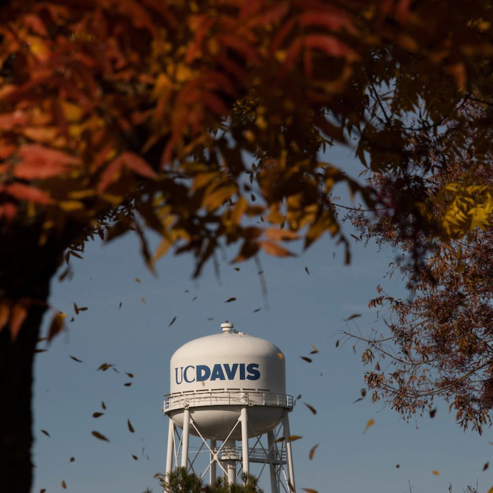 UC Davis water tower with autumn leaves in the foreground.