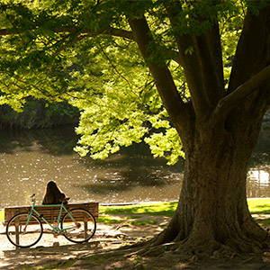 Person sitting on bench near Lake Spafford