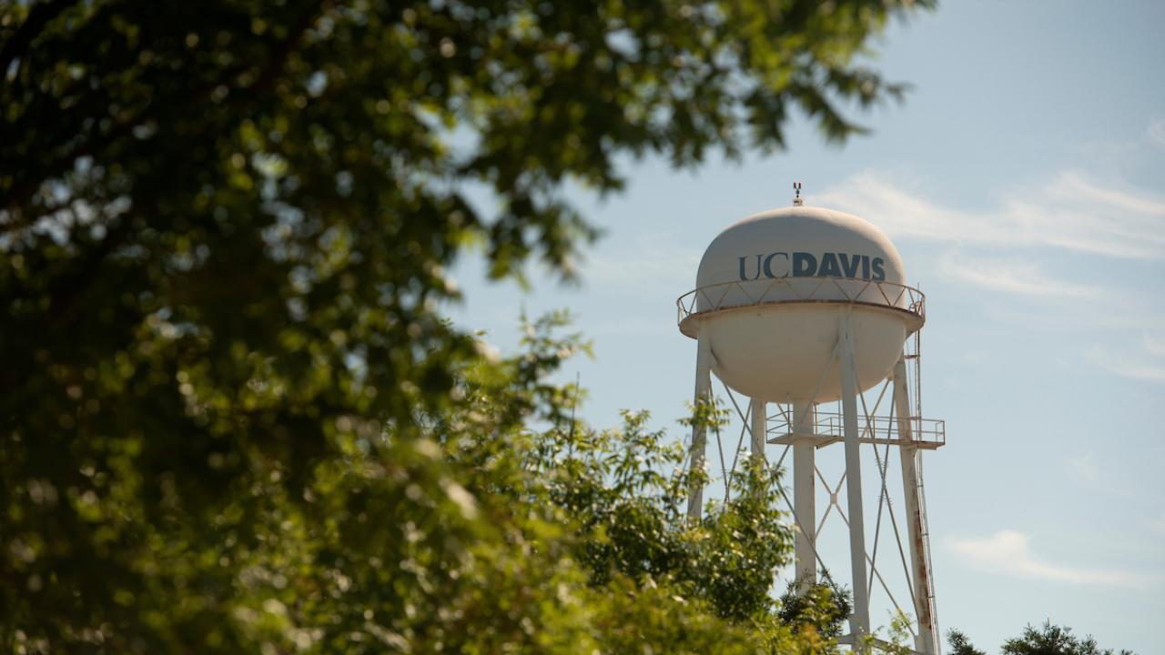 UC Davis water tower peeking through trees.