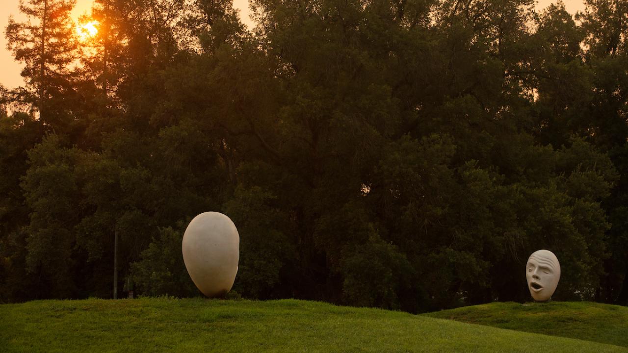 Grassy knoll with eggheads against a backdrop of smokey skies.