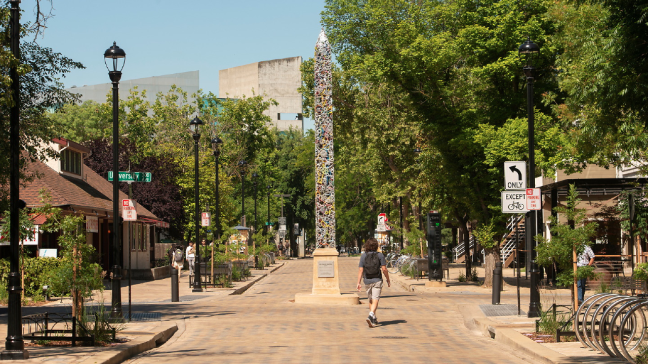 Image of Davis Needle, an art structure in the middle of 3rd Street that is constructed of old bicycle parts.