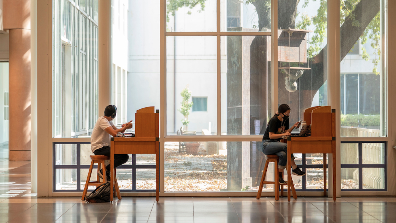 Two people sitting at separate desks spaced far apart in the library adjacent to the courtyard windows.