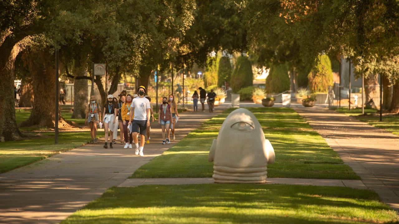 Orientation group walking on path near Eye on Mrak