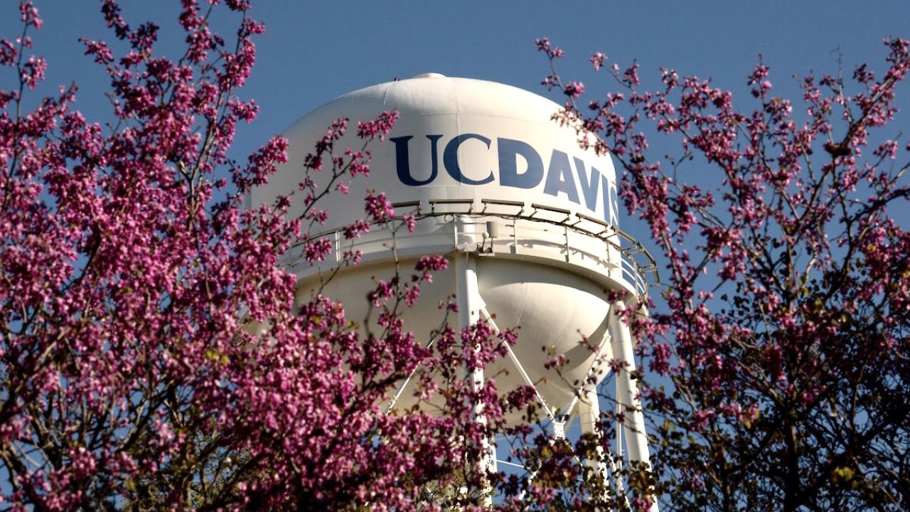 UC Davis water tower with pink flowering trees in foreground.