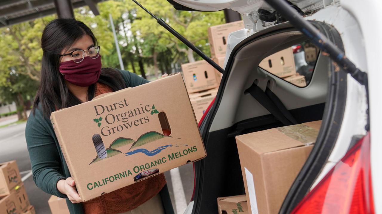 Student unloading boxed food from the trunk of a car