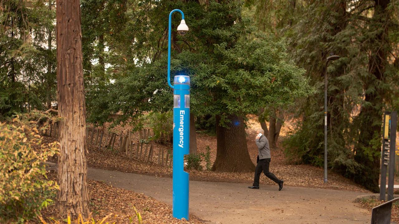 Person walks past blue emergency call station among redwood trees.