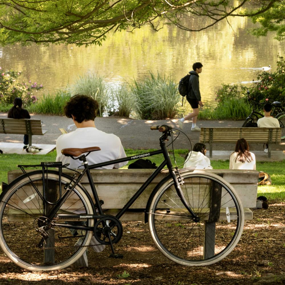 A bicycle rests on a bench in a park by Lake Spafford. People are sitting and walking nearby in the sunshine.