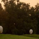 Grassy knoll with eggheads against a backdrop of smokey skies.
