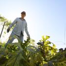 Student stands in a sunlit agricultural field with vines behind and plants at their feet