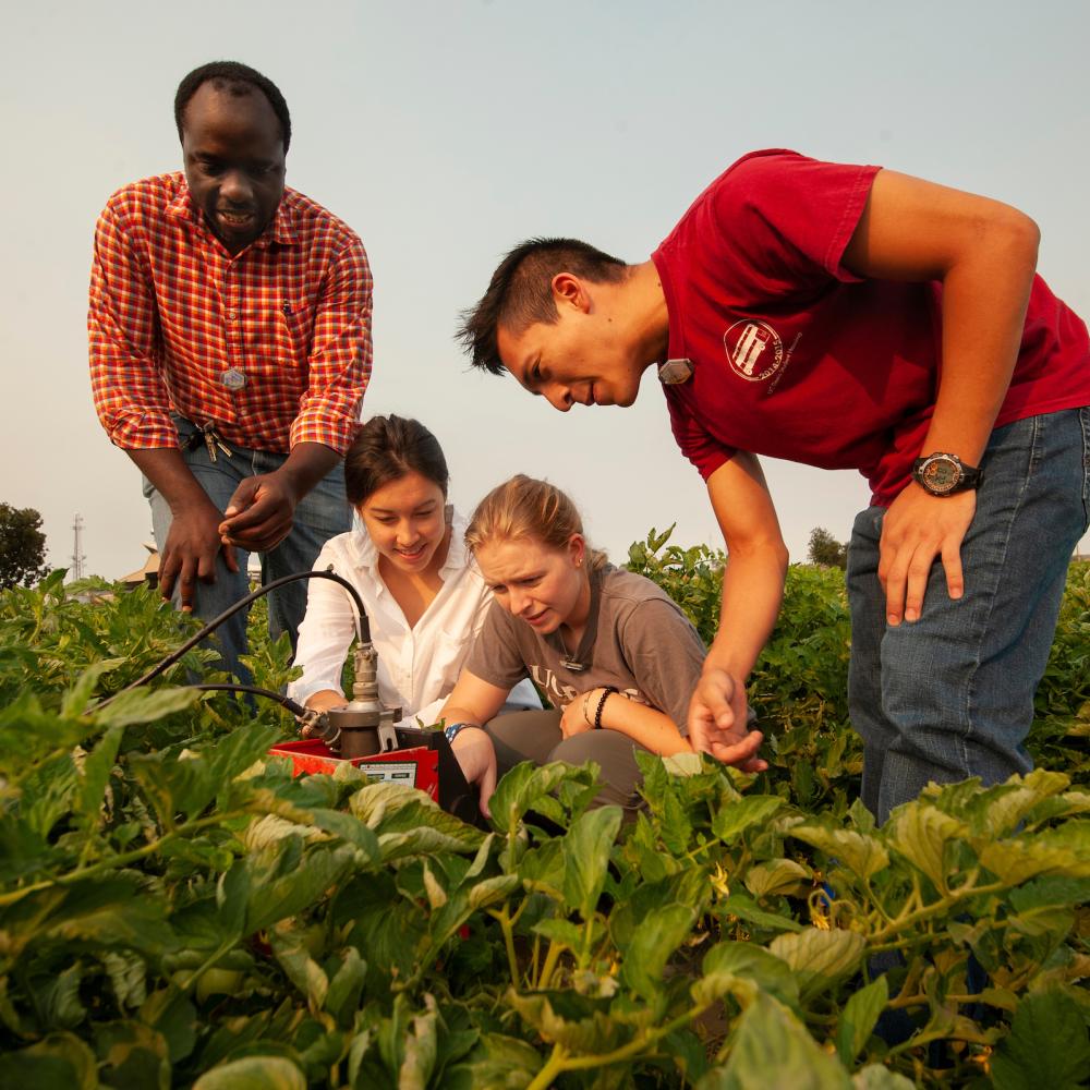Faculty members and students in an agricultural field installing irrigation.